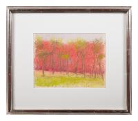 Young Locust Trees