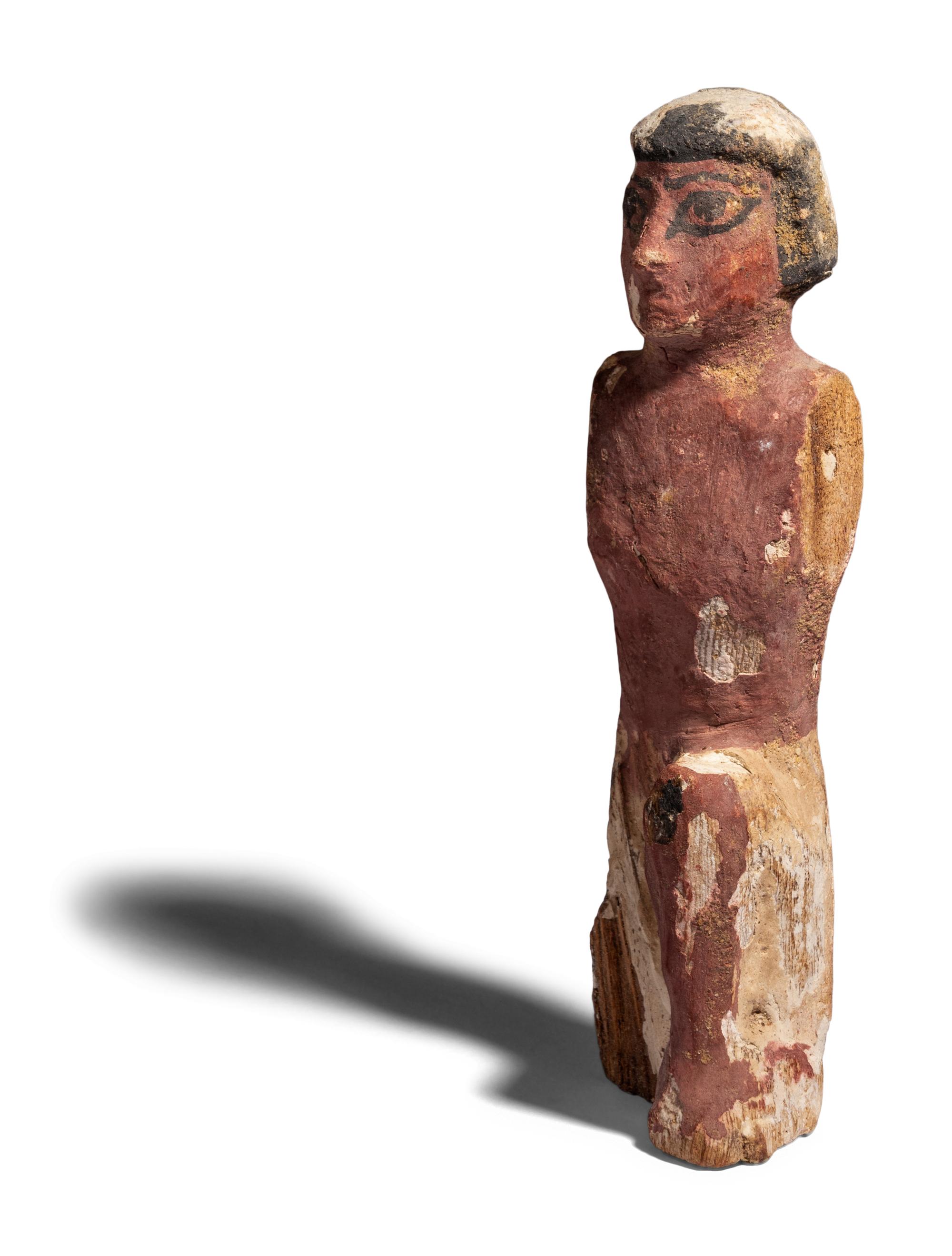 An Egyptian Wood Boatman