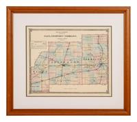 A Group of Twelve Maps of Illinois