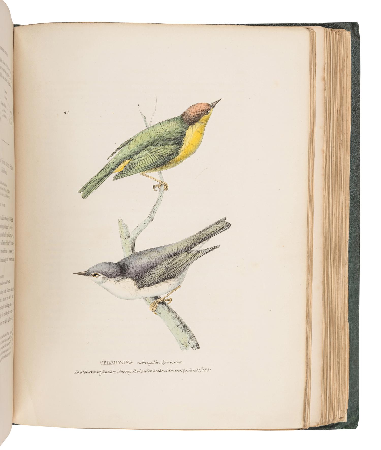 RICHARDSON, John (1787-1865) & William SWAINSON (1789-1855). Fauna Boreali-Americana; or the Zoology of the Northern Parts of British America...Part First, containing the Quadrupeds. -- Fauna Boreali-Americana; or the Zoology of the Northern Parts of British America...Part Second, the Birds . London: John Murray, 1829, 1831.