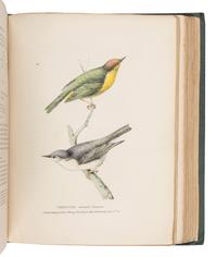 RICHARDSON, John (1787-1865) & William SWAINSON (1789-1855). Fauna Boreali-Americana; or the Zoology of the Northern Parts of British America...Part First, containing the Quadrupeds. -- Fauna Boreali-Americana; or the Zoology of the Northern Parts of British America...Part Second, the Birds . London: John Murray, 1829, 1831.