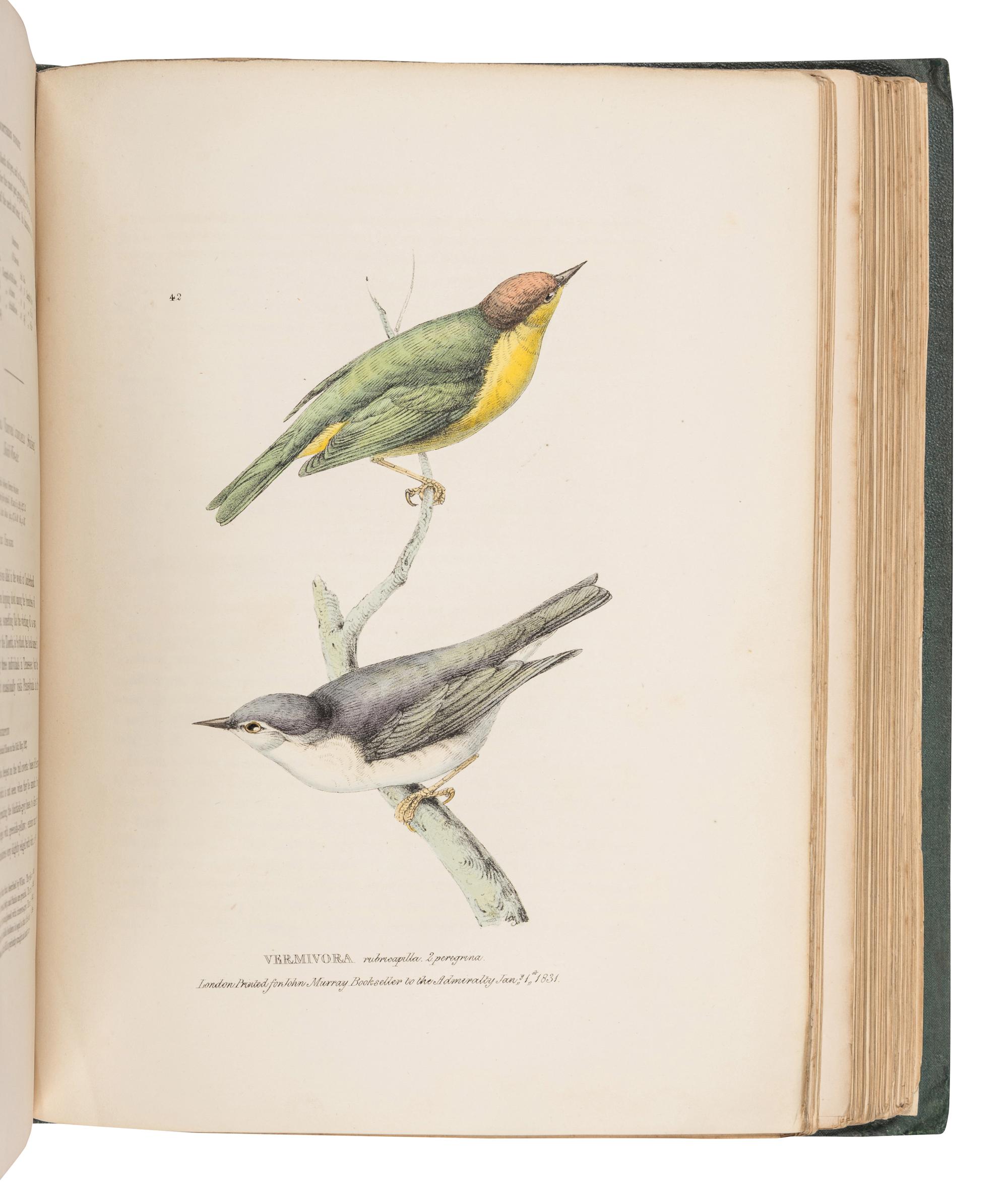 RICHARDSON, John (1787-1865) & William SWAINSON (1789-1855). Fauna Boreali-Americana; or the Zoology of the Northern Parts of British America...Part First, containing the Quadrupeds. -- Fauna Boreali-Americana; or the Zoology of the Northern Parts of British America...Part Second, the Birds . London: John Murray, 1829, 1831.