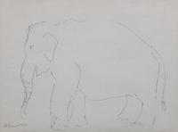 Elephant, 1952