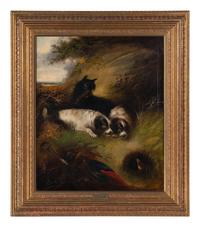 Dogs Hunting