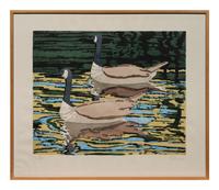 Canadian Geese