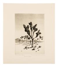 Two Works: Cucumber Cactus and Joshua Trees