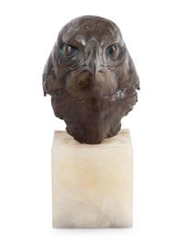 Red Tailed Hawk Study, edition 245/250