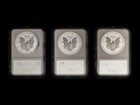 A Collection of Thirty-Three NGC Graded PF70 Ultra Cameo Silver Eagle $1 Coins
