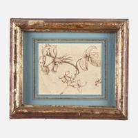 Italian School (17th-18th Century) Study of Rosa Gallica and Jasminum Nudiflorum