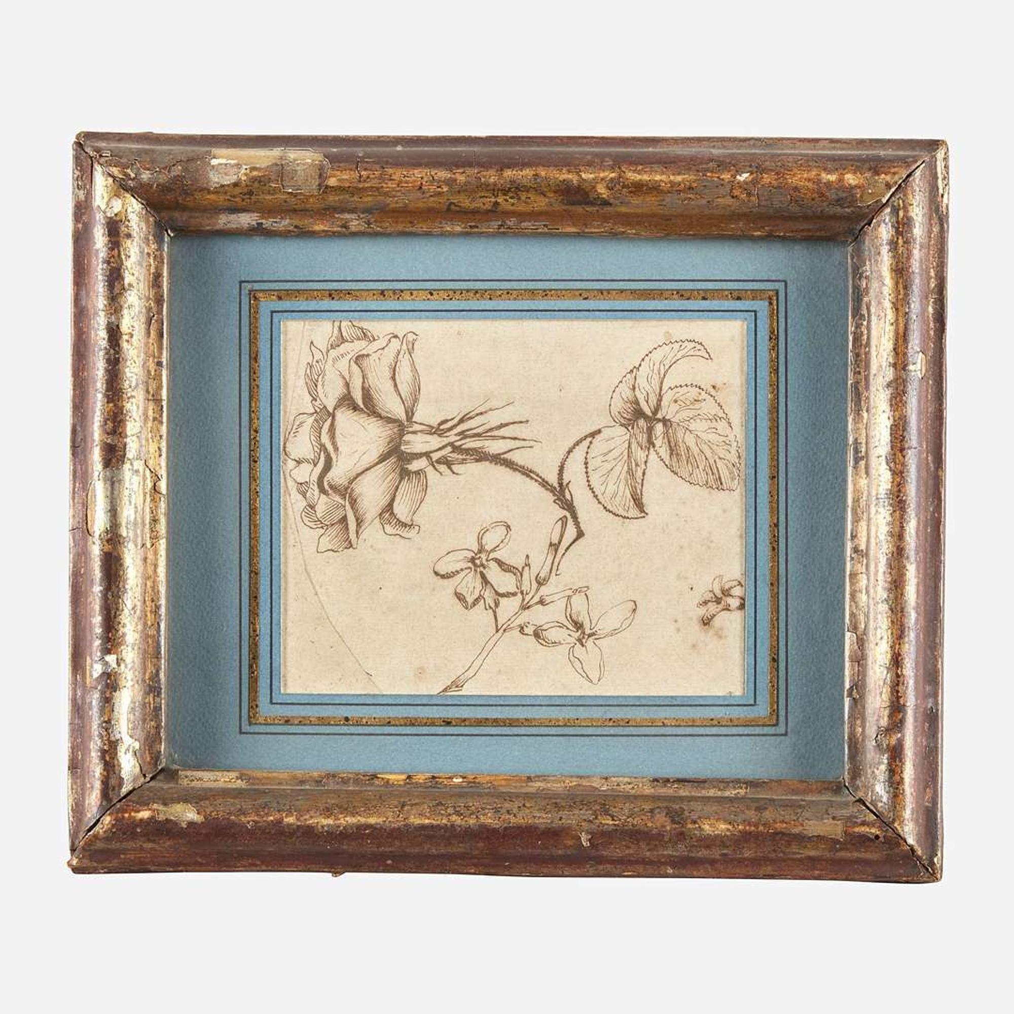 Italian School (17th-18th Century) Study of Rosa Gallica and Jasminum Nudiflorum