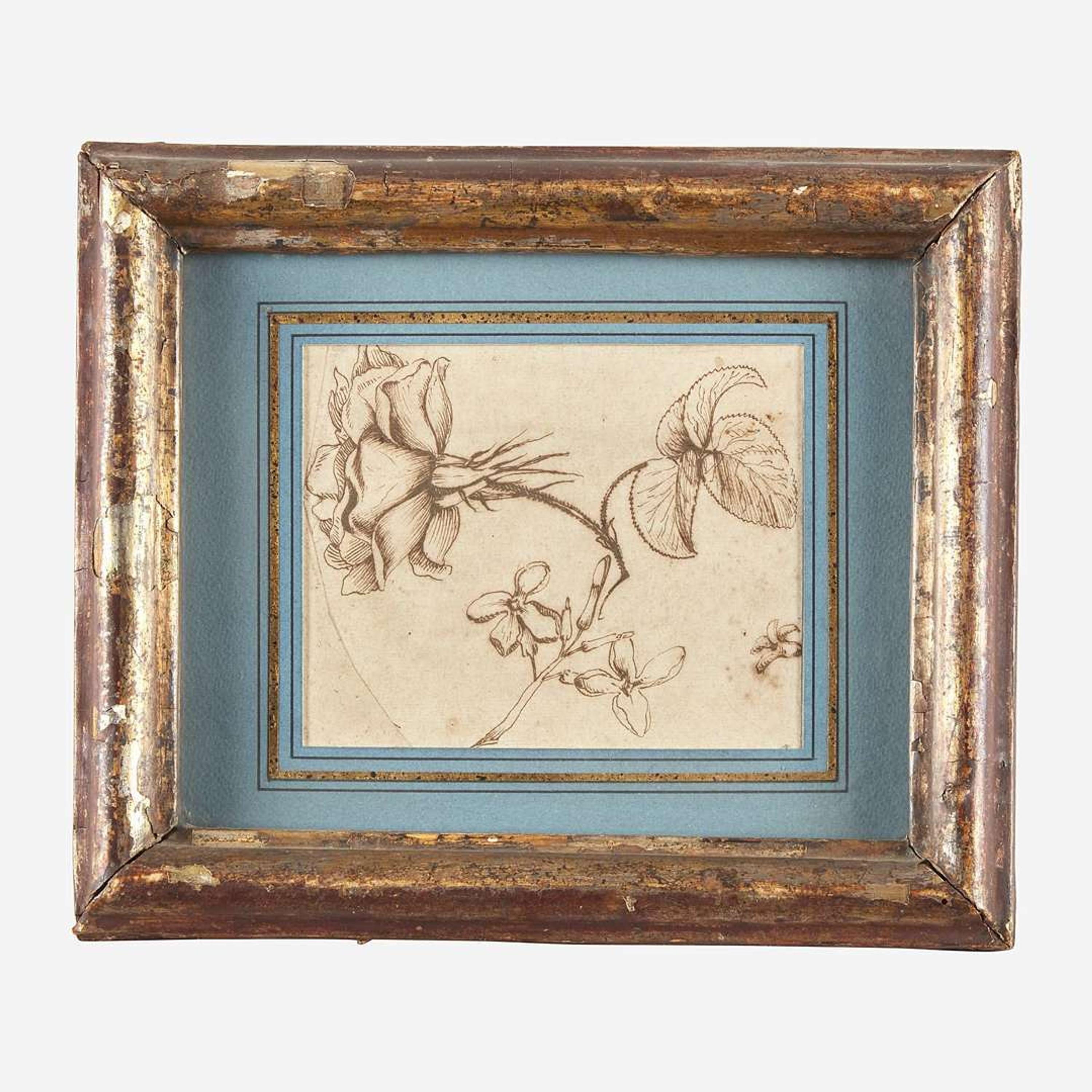 Italian School (17th-18th Century) Study of Rosa Gallica and Jasminum Nudiflorum
