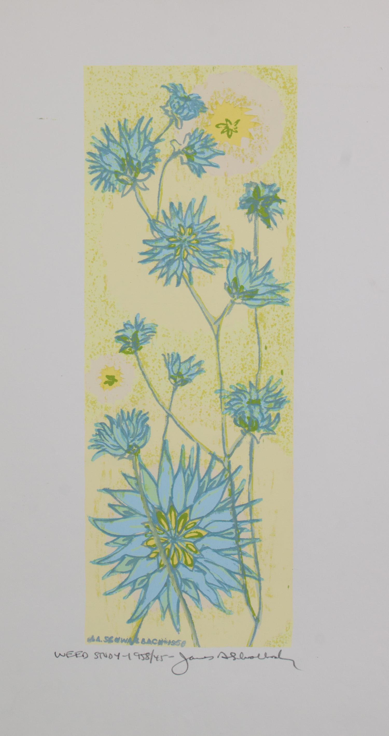 James Schwalbach, (Wisconsin, b. 1912), Weed Study, 1958 (a suite of twelve works)
