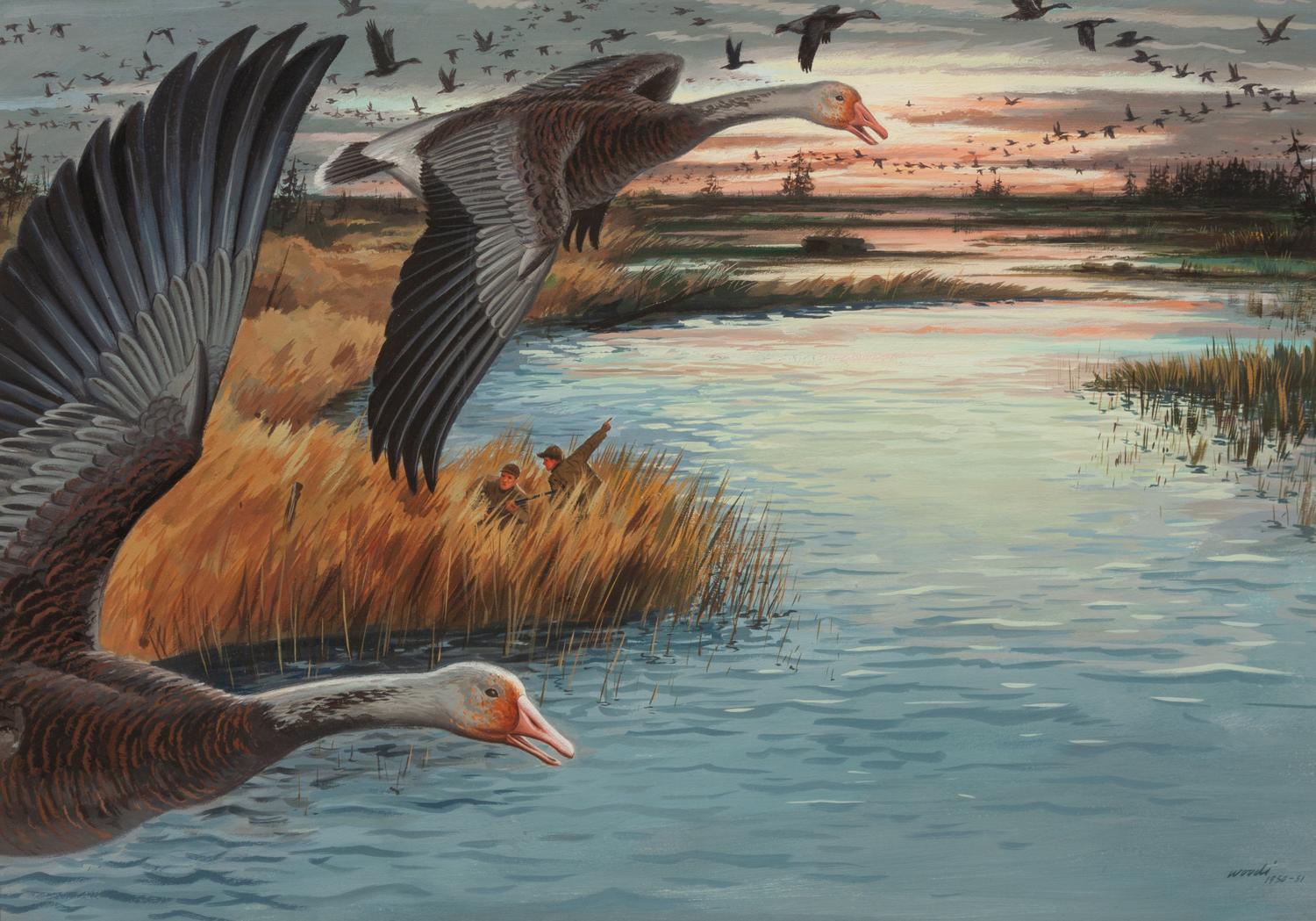 Flock of Geese , 1950-1951