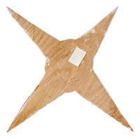 Star Creature