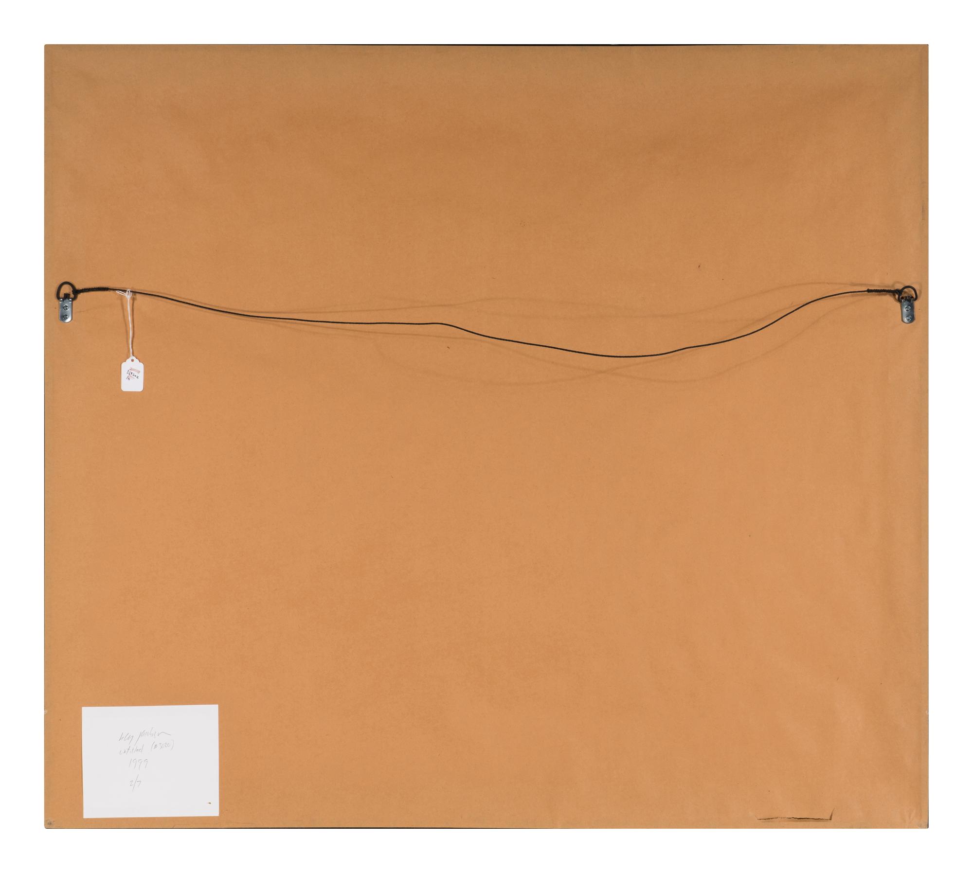 Untitled (#3020) , 1999