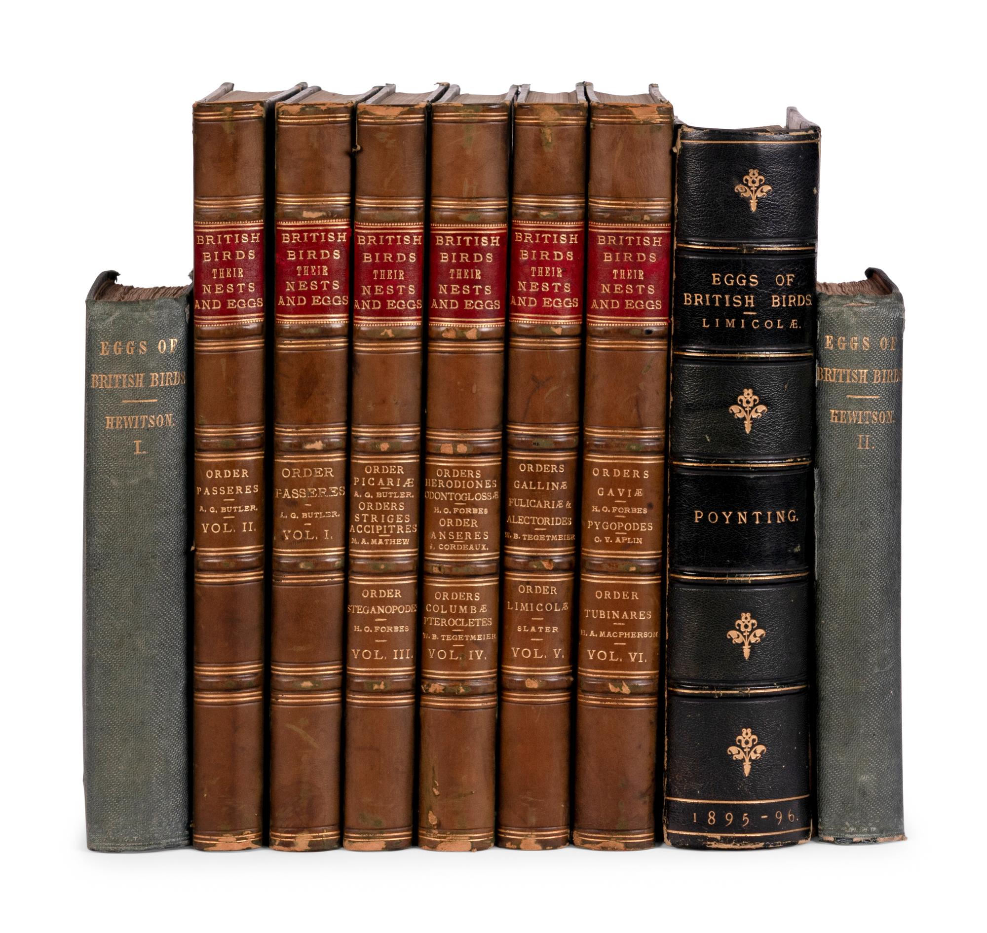 [NATURAL HISTORY - BRITISH BIRDS]. A group of works, including: