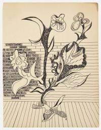 Hans Bellmer (German, 1902-1975) - Wall Flower Drawing