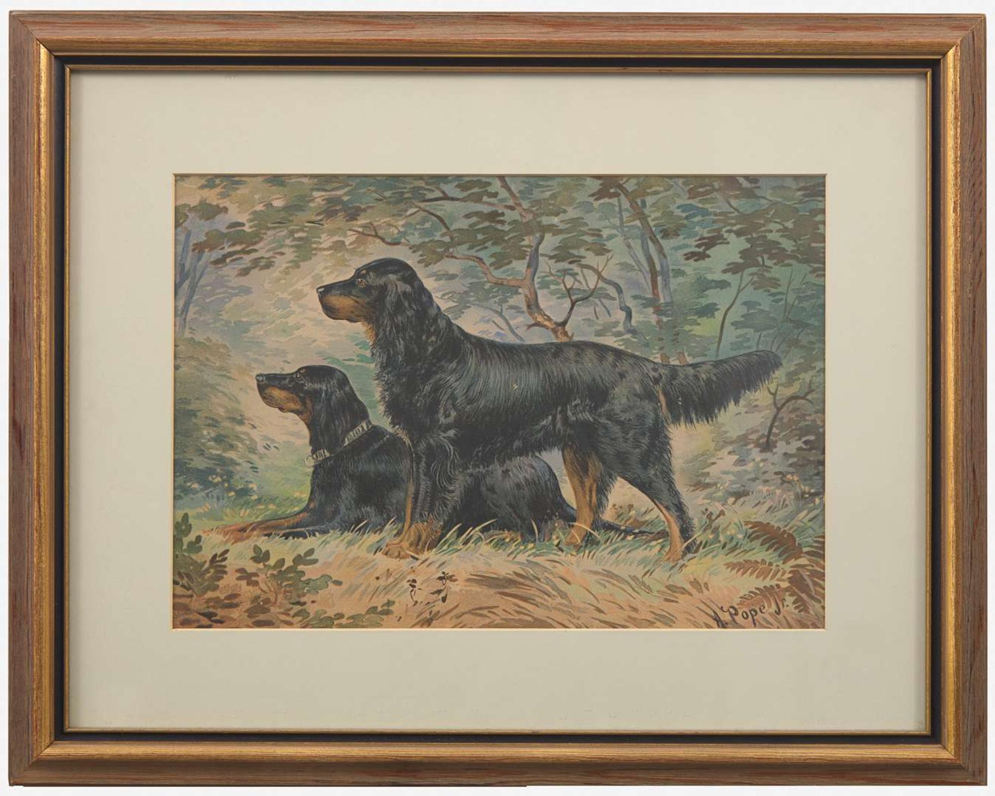 Alexander Pope (American, 1849–1924) - Untitled (Pair of Setters)
