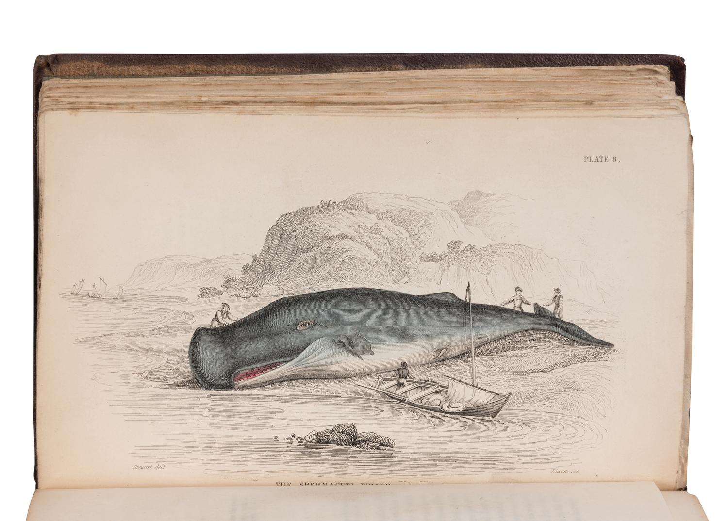 [NATURAL HISTORY]. JARDINE, William (1800-1874). The Naturalist's Library . Edinburgh: W.H. Lizars, et al, 1833-1843.