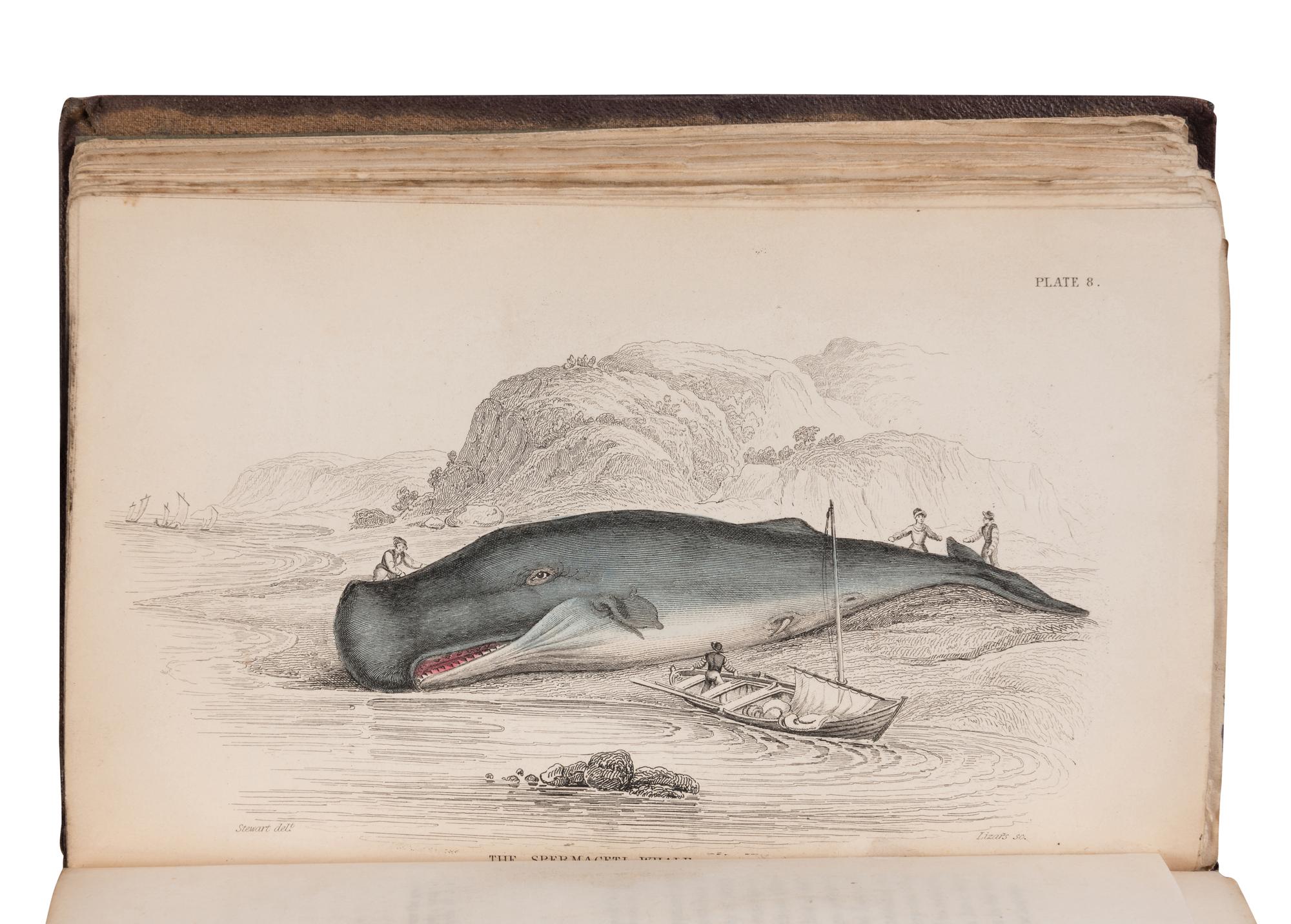 [NATURAL HISTORY]. JARDINE, William (1800-1874). The Naturalist's Library . Edinburgh: W.H. Lizars, et al, 1833-1843.