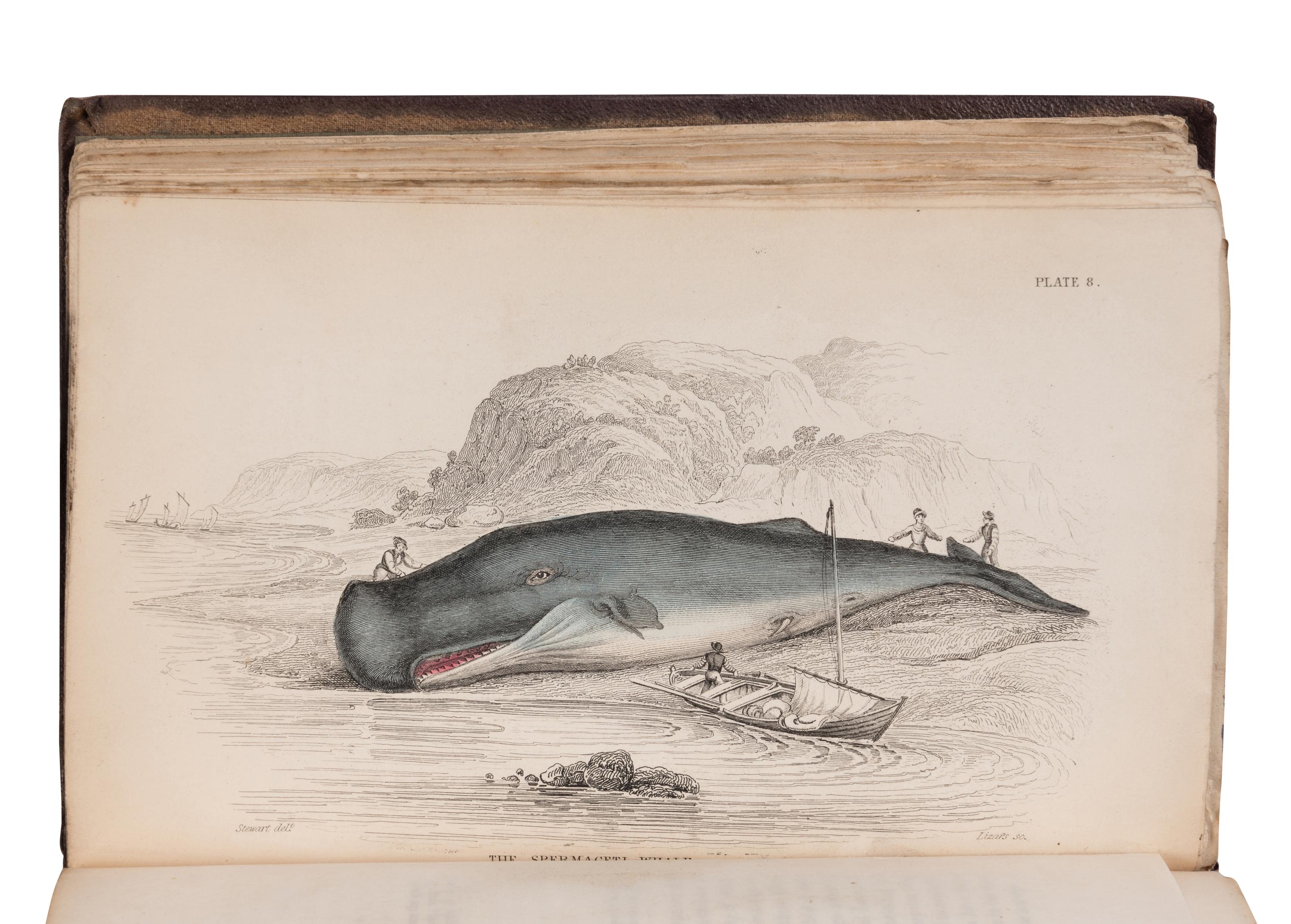 [NATURAL HISTORY]. JARDINE, William (1800-1874). The Naturalist's Library . Edinburgh: W.H. Lizars, et al, 1833-1843.
