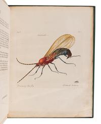 HILL, John, Sir (1716?-1775). A Decade of Curious Insects: Some of them not describ'd before: Shewn in their Natural Size . London: Printed for the author, 1773.