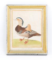 Two Ornithological Hand Colored Etchings Height 9 1/2 x width 7 1/2 inches.
