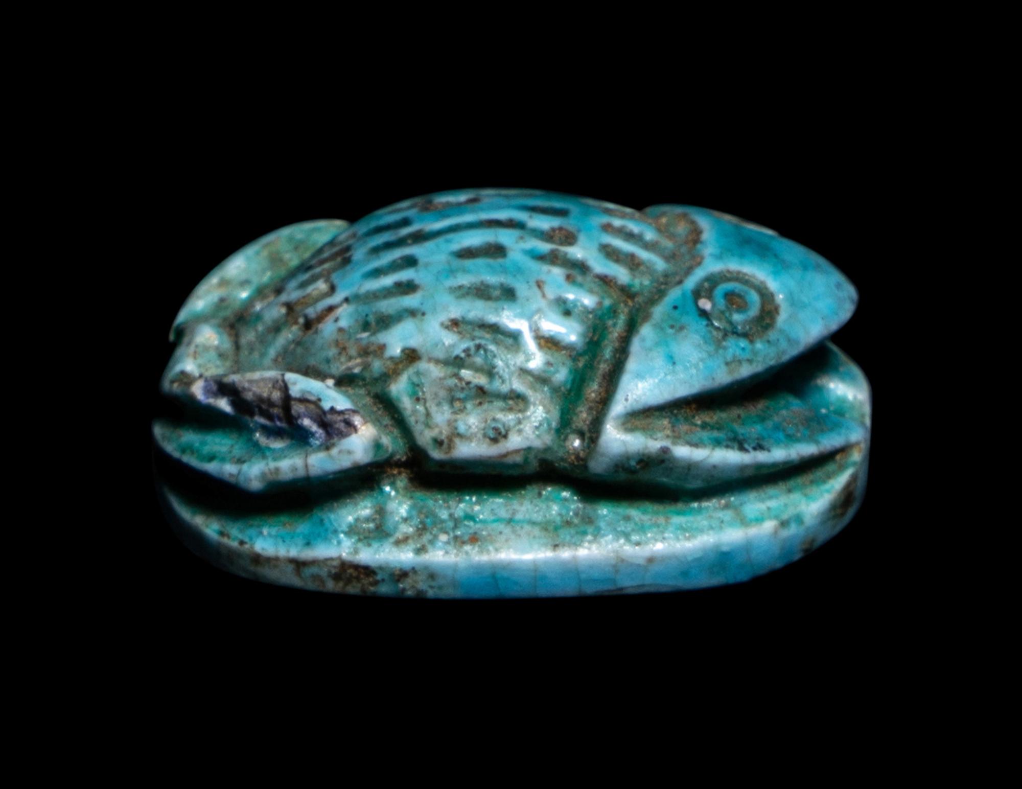 An Egyptian Faience Frog Scaraboid
