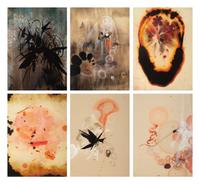 The Flowering (The Fourfold Sense), 2007 (complete portfolio of thirteen)