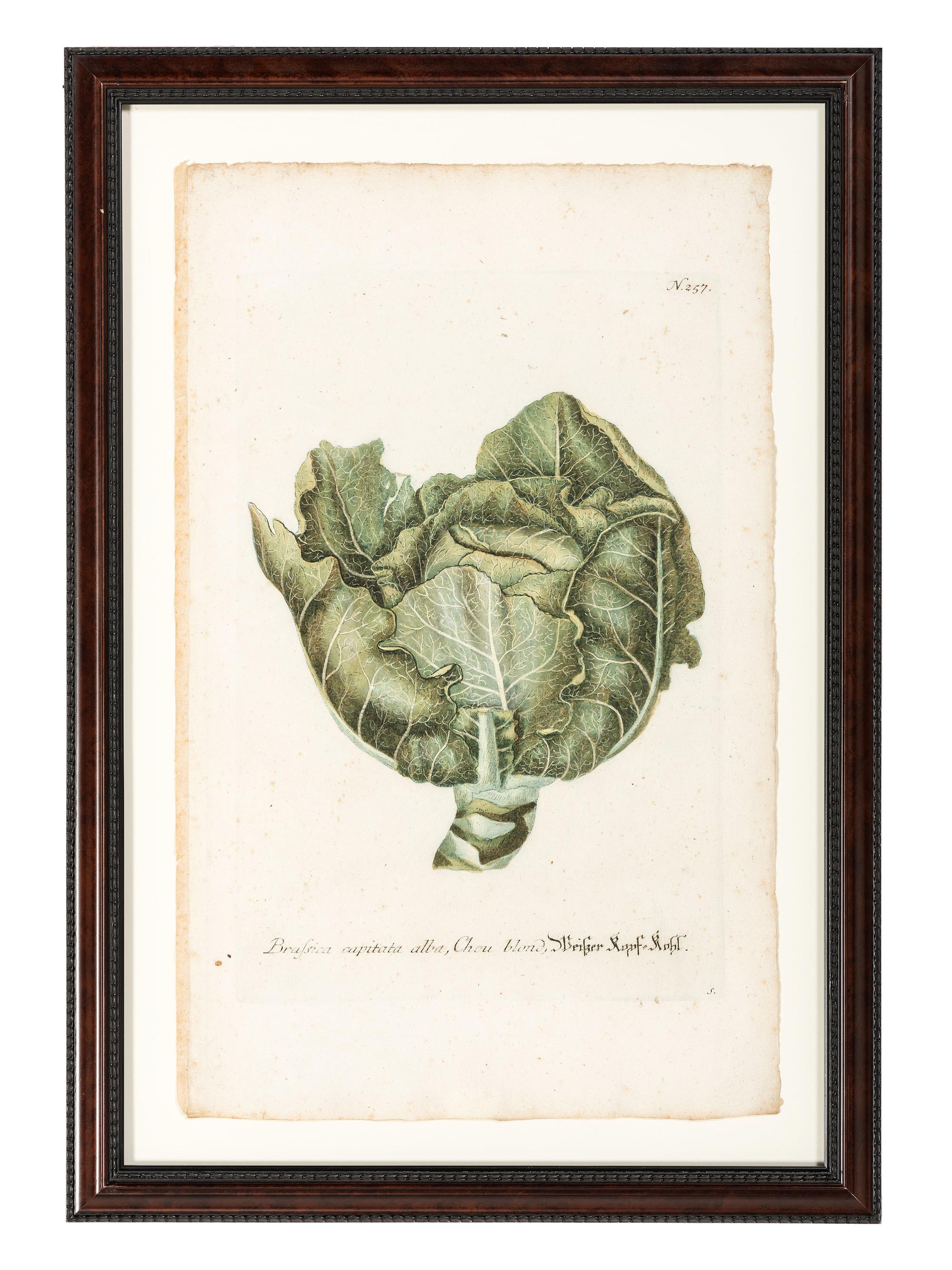 Nine Vegetable Aquatints
