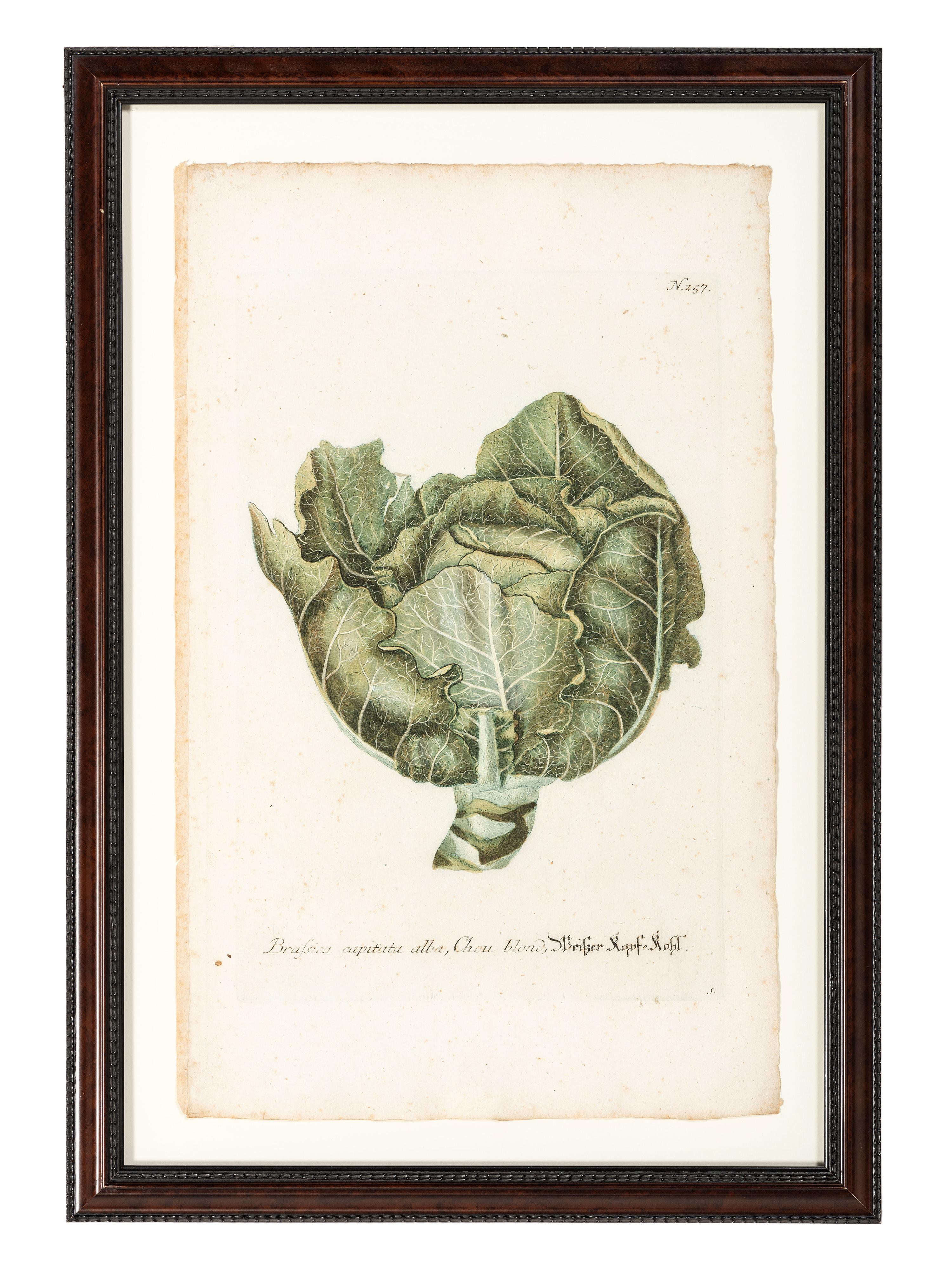 Nine Vegetable Aquatints