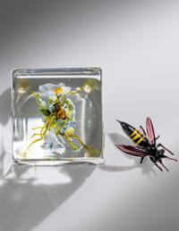 Botanical Paperweight and Bee, 1993