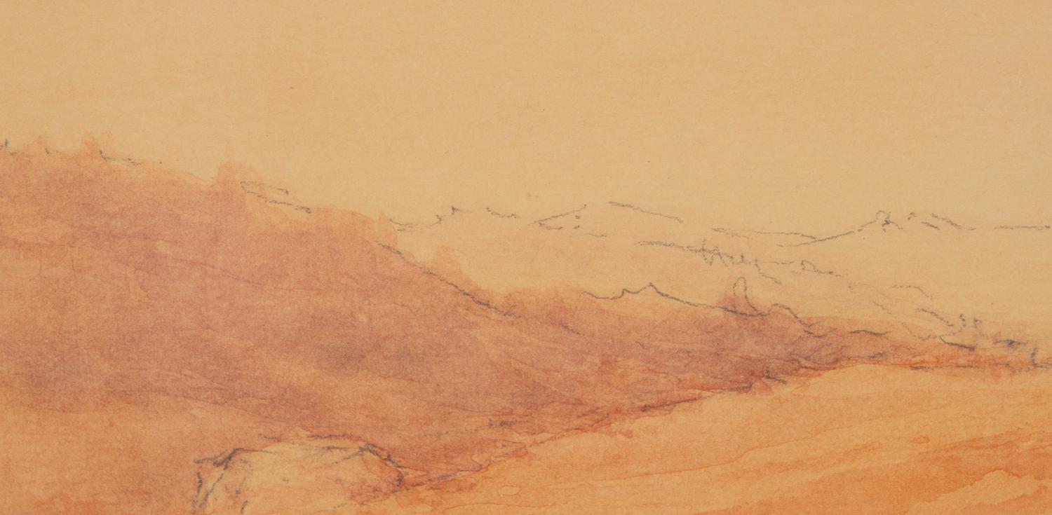 Landscape Study
