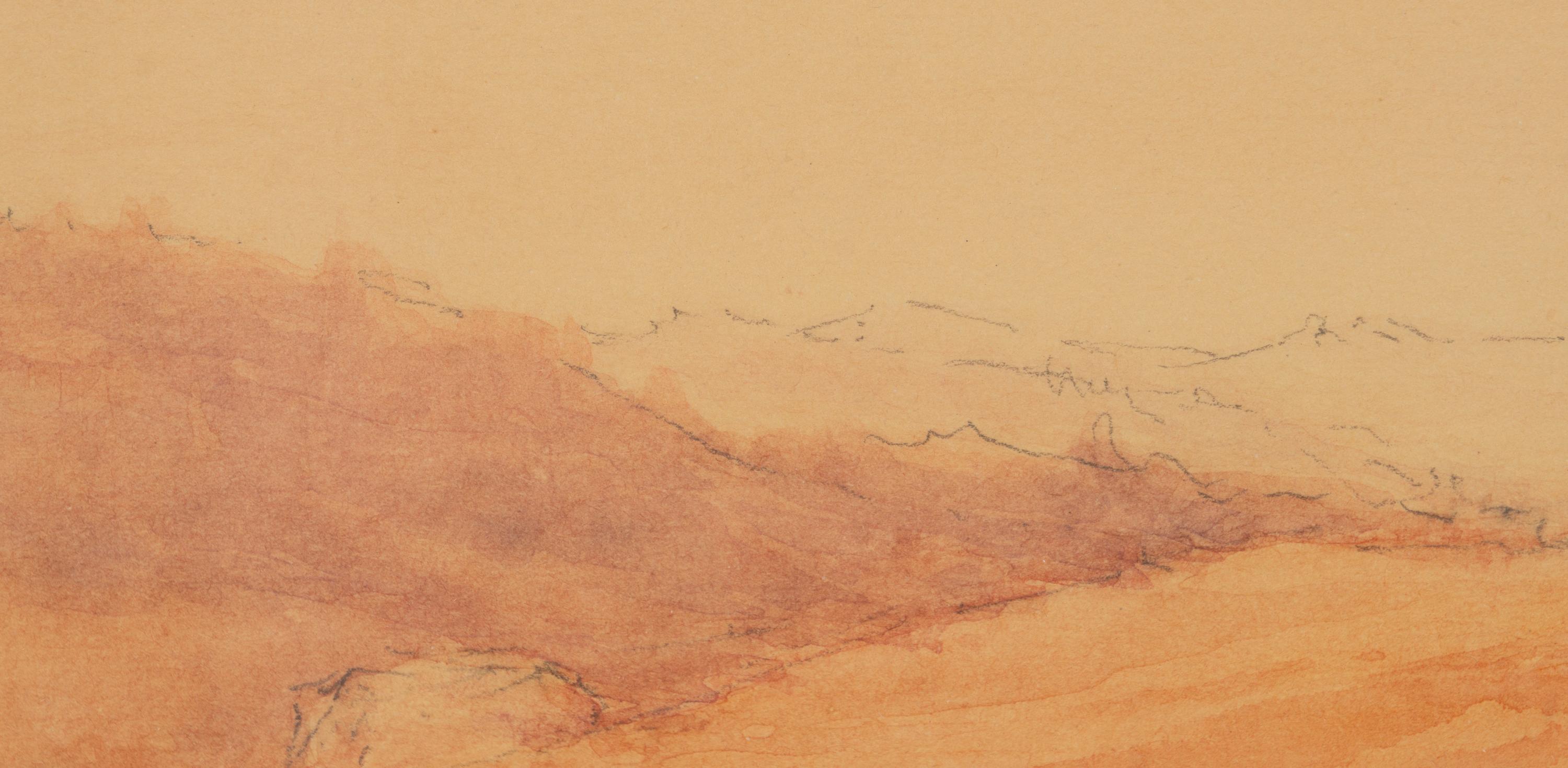 Landscape Study