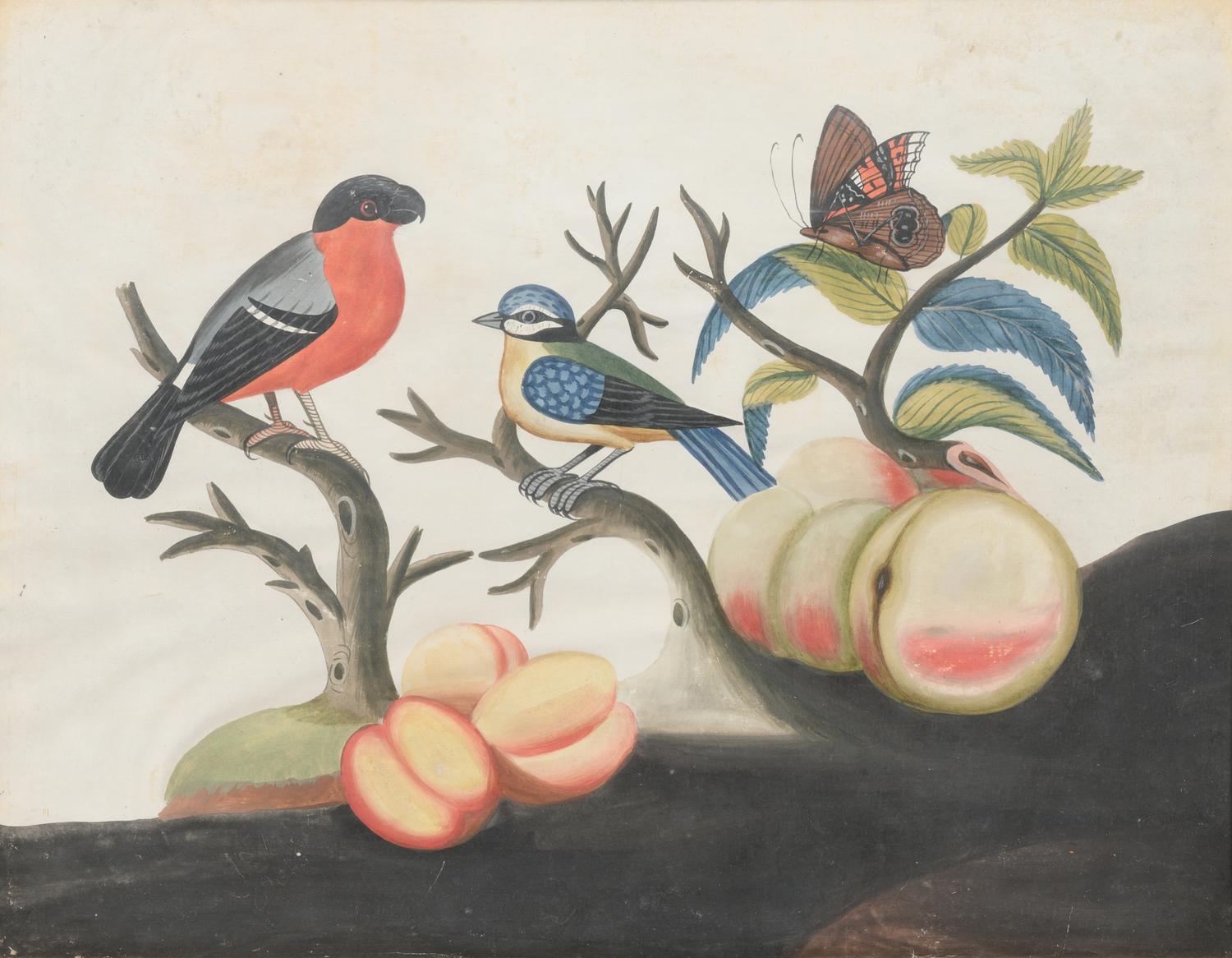 A Set of Six Irish George III Embossed Bird Pictures by Samuel Dixon