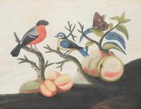 A Set of Six Irish George III Embossed Bird Pictures by Samuel Dixon