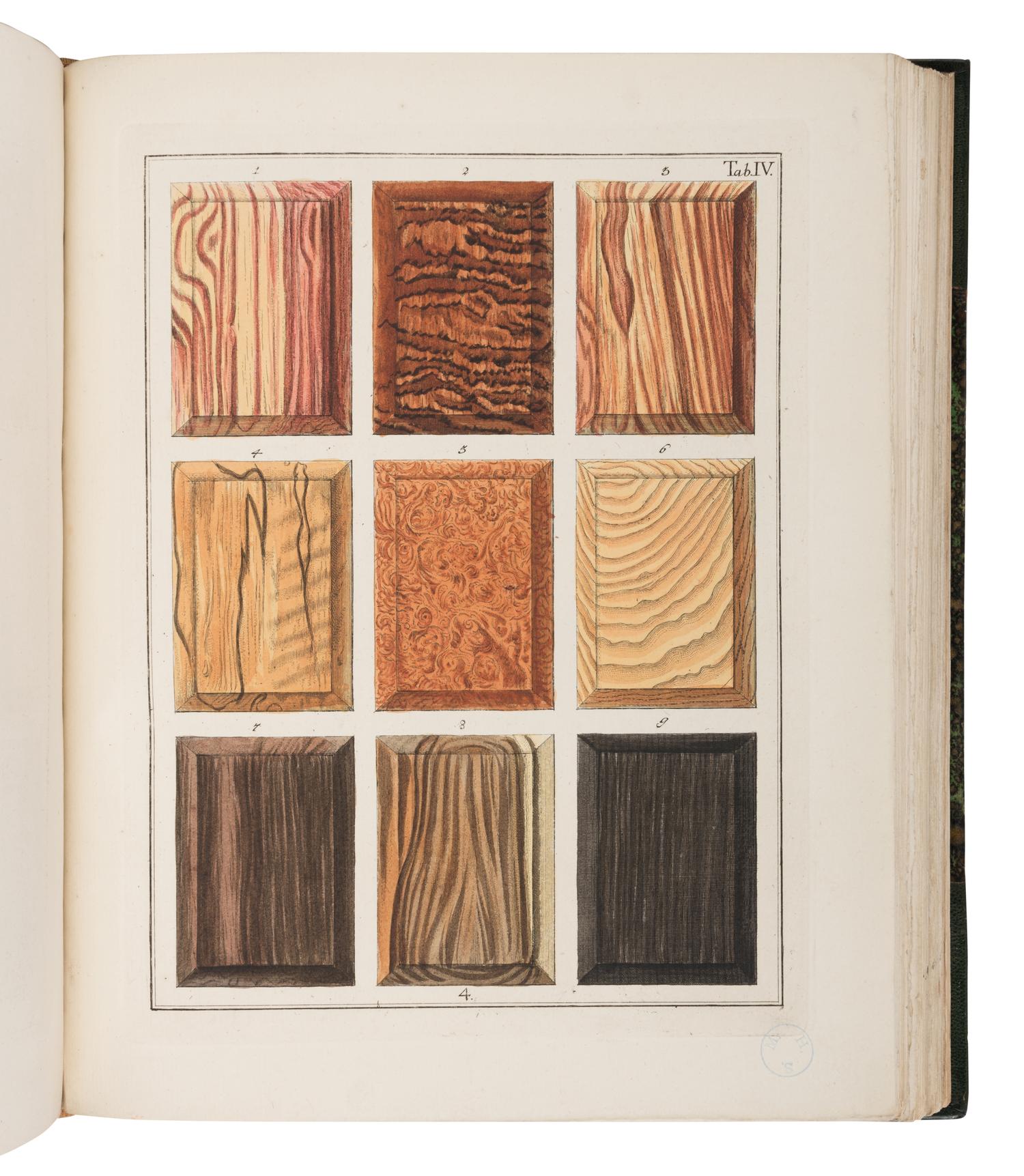 [NATURAL HISTORY]. [HOUTTUYN, Martinus (1720-1798)]. A Representation of Inland and Foreign Wood, as well Trees as Shrubs, which are Collected by the Lovers of Natural History in their Cabinets of Natural Curiosities for Use and Pleasure . -- Afbeeldingen van Meest alle Bekende, In- en Uitlandsche Houten... -- Abbildung In-und Auslaendischer Hoeltzer… Amsterdam: Jan Christian Sepp, 1773, 1791-1795.