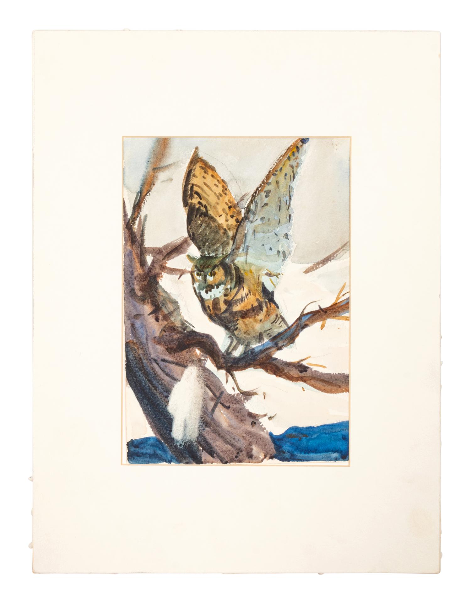 The Great Horned Owl