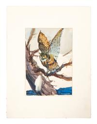 The Great Horned Owl
