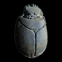 An Egyptian Faience Scarab