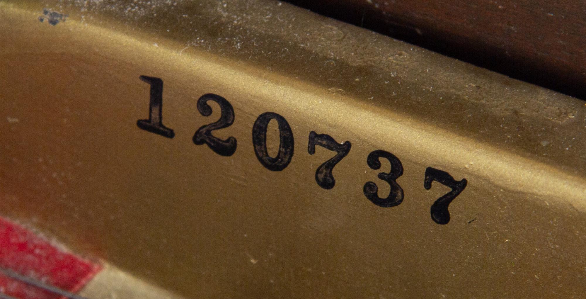 A Chickering & Sons Baby Grand Piano