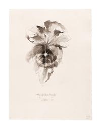 [MOSER, Barry, illustrator]. VIRGIL MARO, Publius. 9 original pen & ink with wash and pencil drawings for Allen Mandelbaum’s translation of Virgil’s Aeneid , published 1981. [ca 1980]. Each 390 x 285 mm. Each signed and dated by Moser, and with his calligraphic captions (as they appear in published edition) and annotations for the printer. Accompanied by 32 small ink rough sketches for the work, each 226 x 117 mm. With numerous captions and annotations including book and verse references.