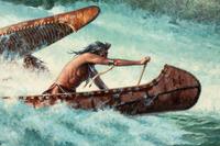 Wildwater Race