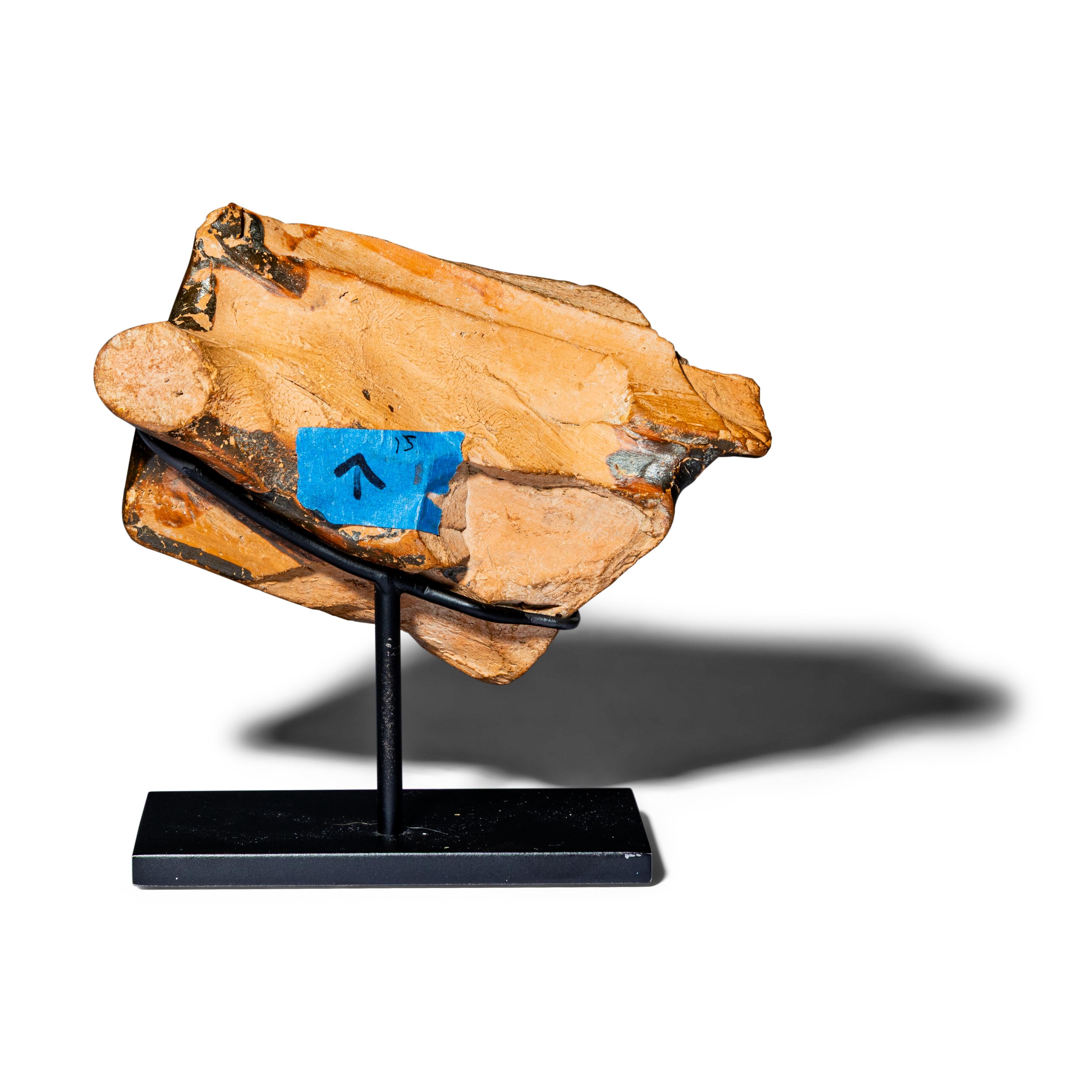 An Attic Black-Figured Krater Handle Fragment