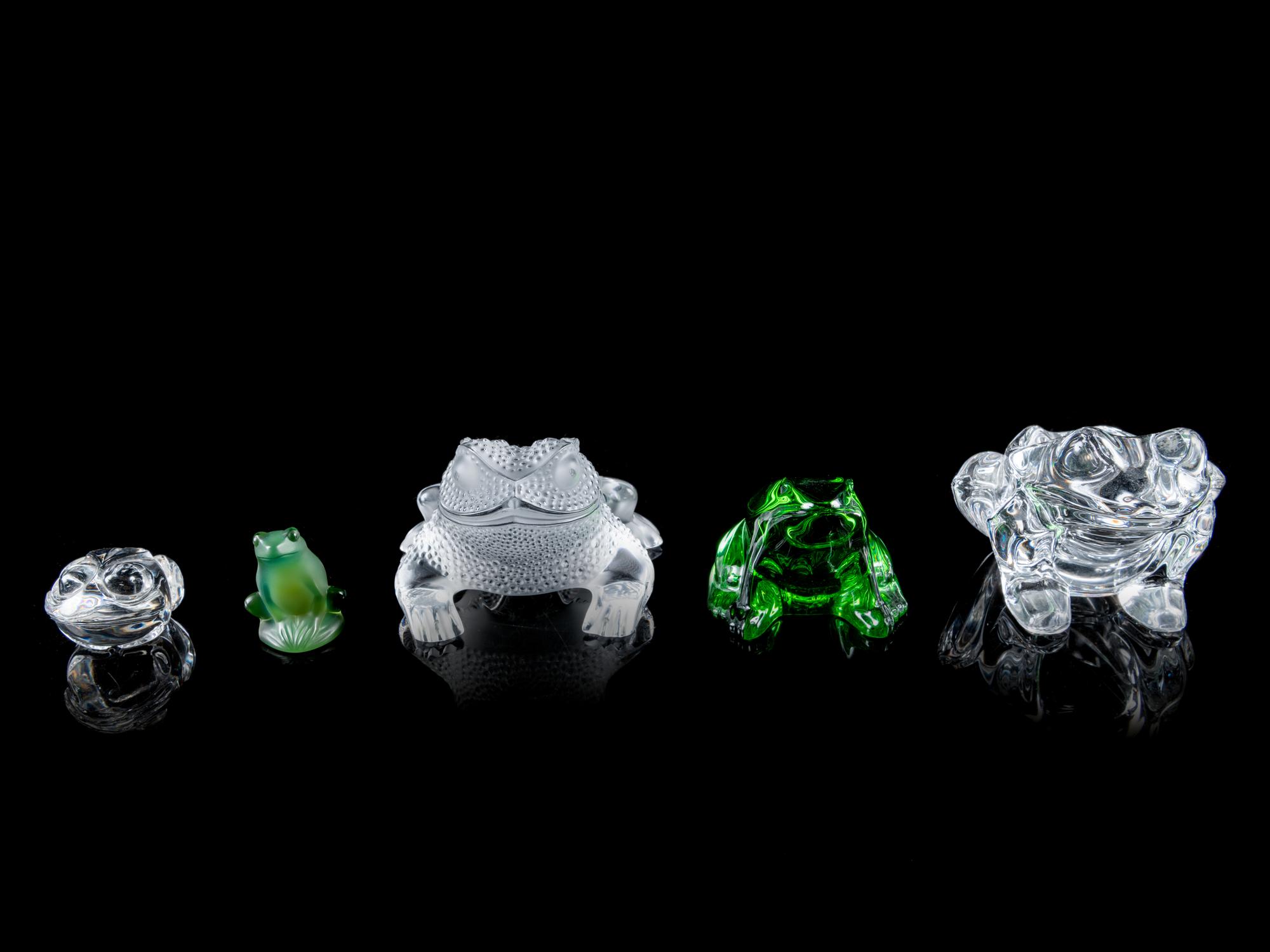 A Group of Five Glass Frogs