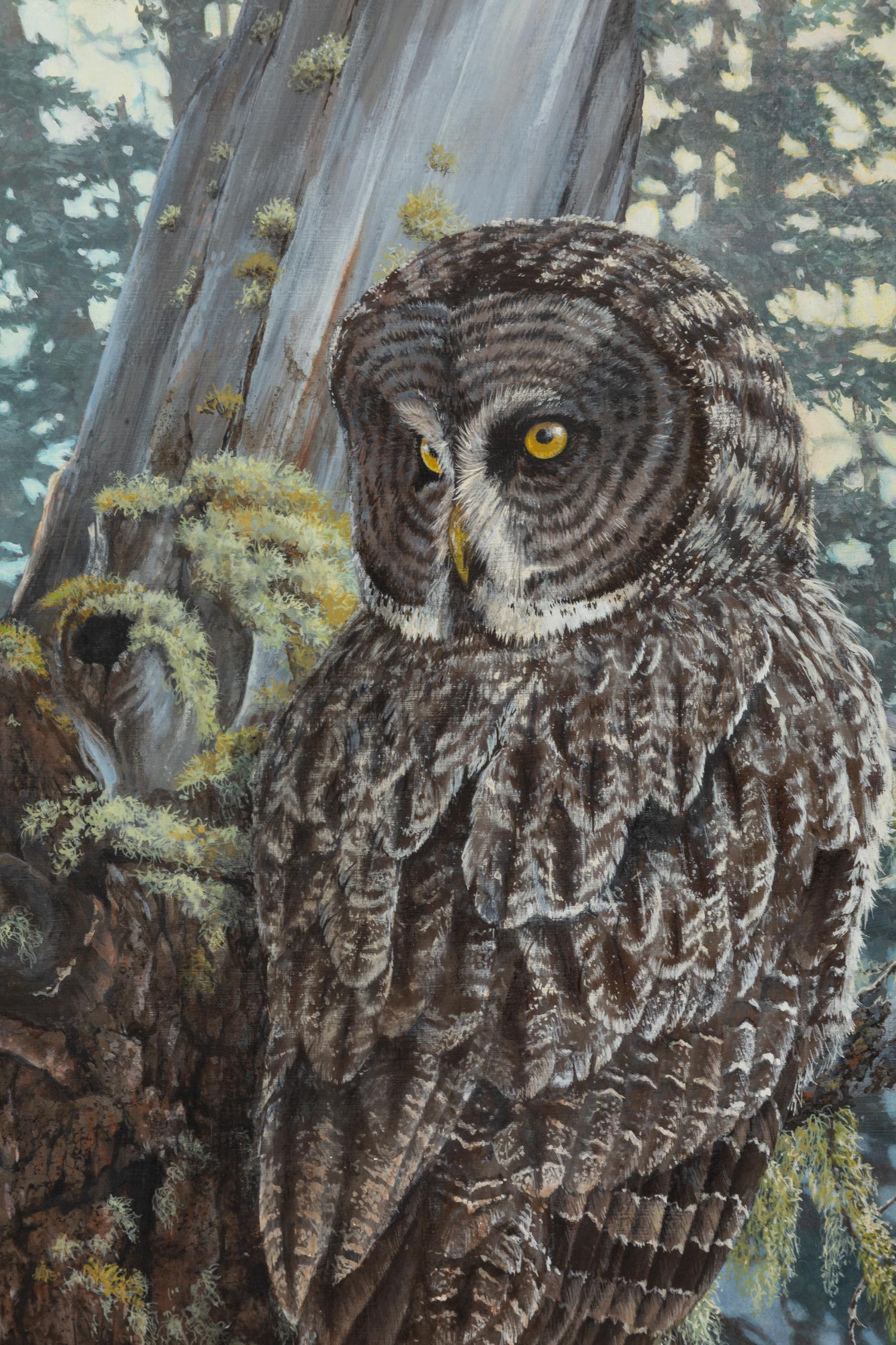 Forest Eyes , 1993