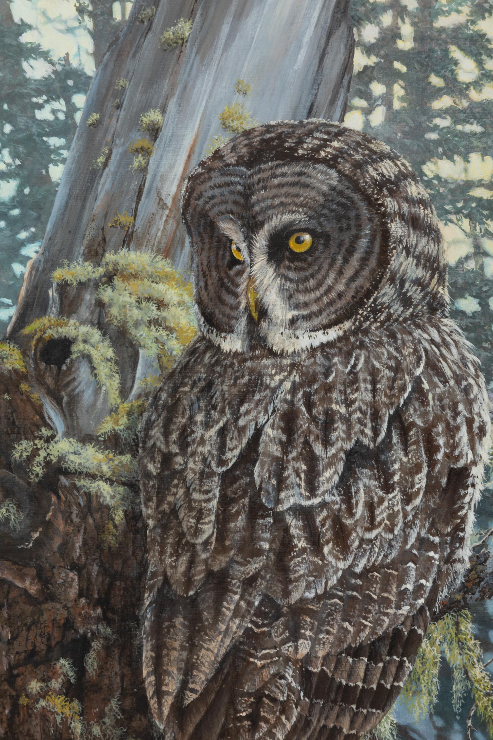 Forest Eyes , 1993
