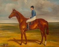 Horse and Jockey, with a Frog