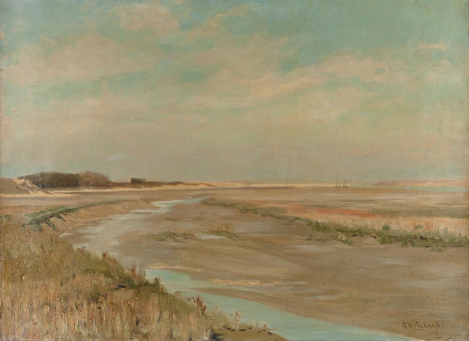 Sunlight on Salt Marsh