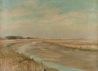 Sunlight on Salt Marsh